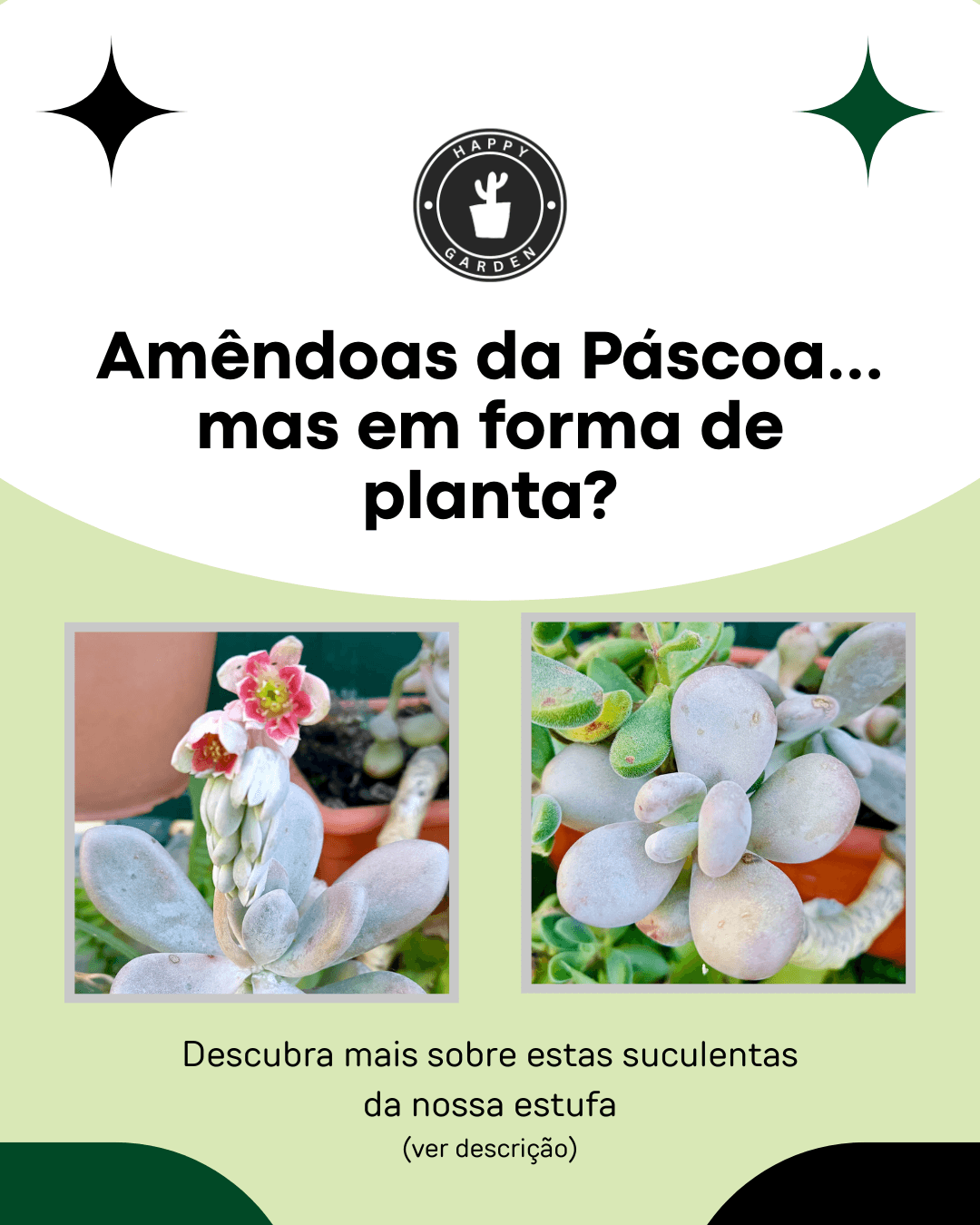 Peça gráfica para redes sociais