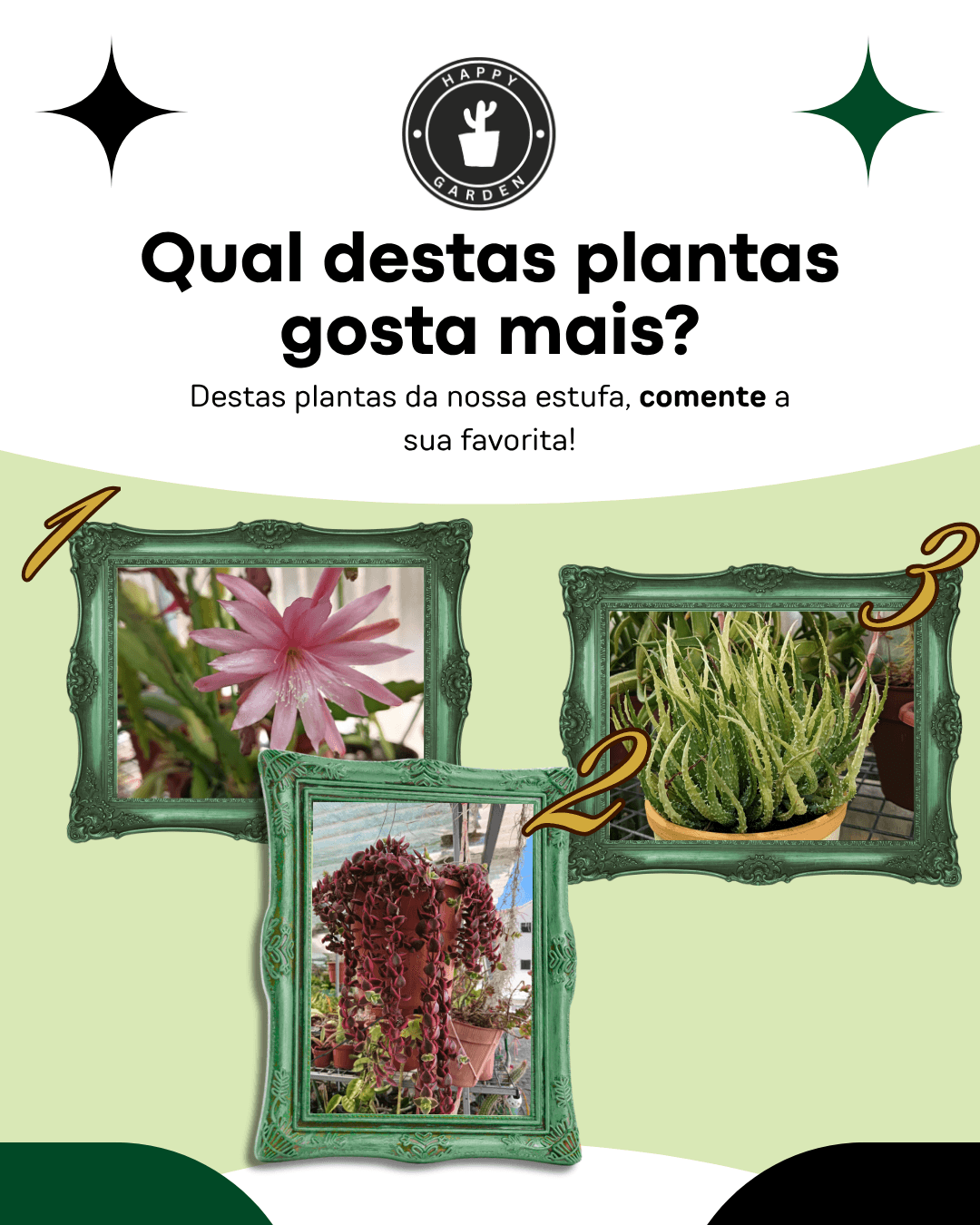 Criativo visual Happy Garden